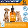 Clear Max Natural Supplements – Liver Support for Dogs &
