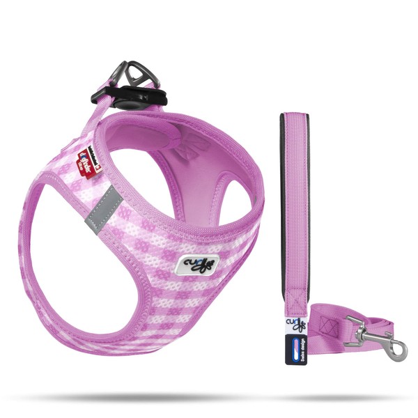 Curli Puppy Harness Vest Air Mesh with Lead