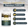 Ultra Strength TUDCA (1200mg Per Serving), 60 Capsules - Tauroursodeoxycholic