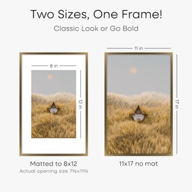 Homeforia - 11x17 inch Metal Picture Frame - 11 x 17 Aluminum Photo Frames - 8x12 Mat - Tempered Glass - Wall Hook Included - Set of 1 - Bronze