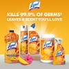 Lysol All Purpose Cleaner Spray, Multi-Purpose Disinfecting Spray, Kitchen &