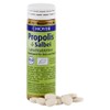 호야 프로폴리스 타블렛 30g Hoya Propolis Tablet 30g