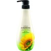 Diabote Oil In Conditioner (Smooth & Repair) Pump Treatment, 17.6