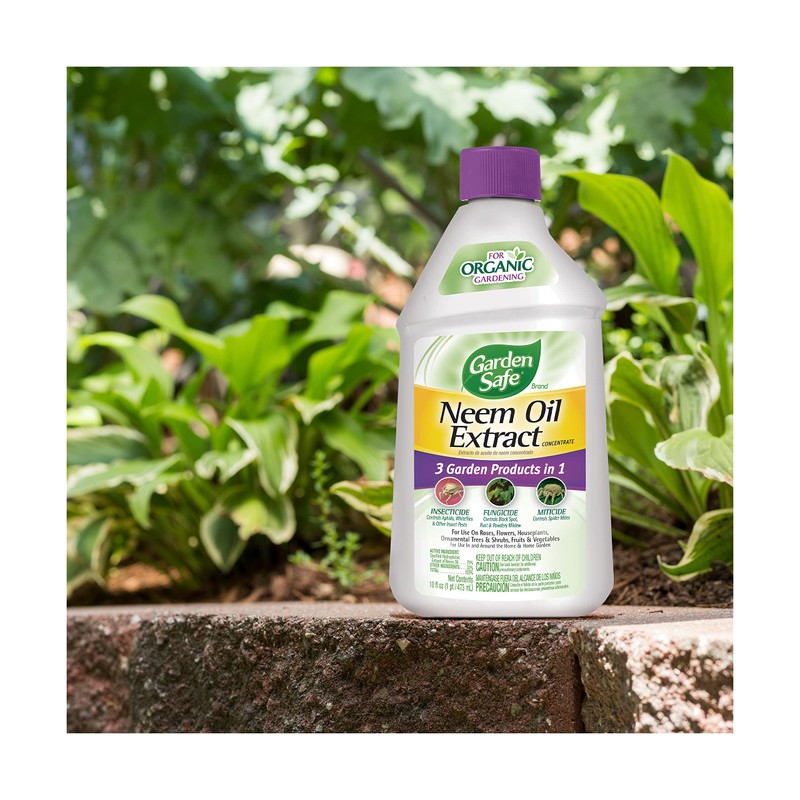Garden Safe Neem Oil, 10 Fl Oz, Case Pack of