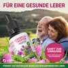 DKT-Natura Leberplus Tropfen - Unterstützt Leberentgiftung, gegen Fettleber (50 ml,