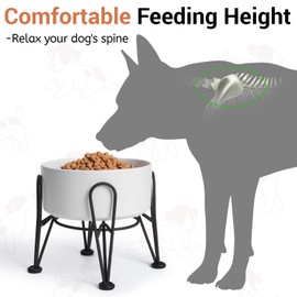 Kitwinney Elevated Dog Bowls, Ceramic Raised Dog Bowl Set with Anti-Slip and Non-Tip Metal Stand, 2 Pack Pet Food and Water Feeding Bowls for Small and Medium Dogs (White)