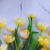 100 Sheets 8.5 x 11 Inch Clear Transparent Sheets 100%