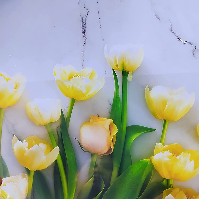 100 Sheets 8.5 x 11 Inch Clear Transparent Sheets 100%