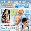 (Tokyo Gift Show Model) Ice Bag, Instant Cooling, Cold Retention,