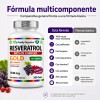 Resveratrol Gold 200 Cápsulas Suplemento Antioxidante Transresveratrol Complejo Antioxidantes Polifenoles
