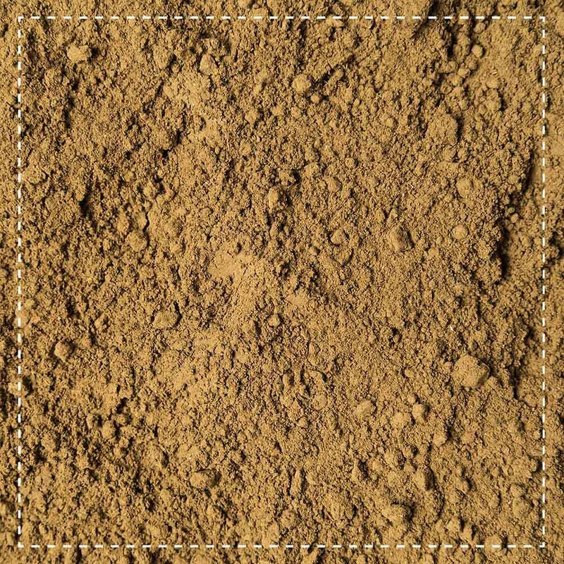 Biotiva Tulsi Powder Organic 250g - Indian Basil - Ocimum
