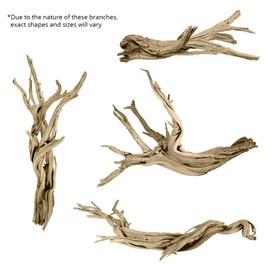 Koyal Wholesale 12” Driftwood Terrarium Decor, Clean California Manzanita Drift Wood Reptile Decor, Driftwood Decor for Home, Desert Reptile Supplies