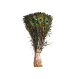 10 Pcs Natural Peacock Feathers: Long and Lush, 35"-40"