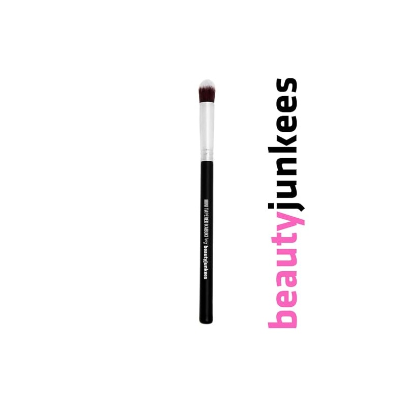 mini Kabuki Makeup Brush Set with Free Case: Includes Blending,