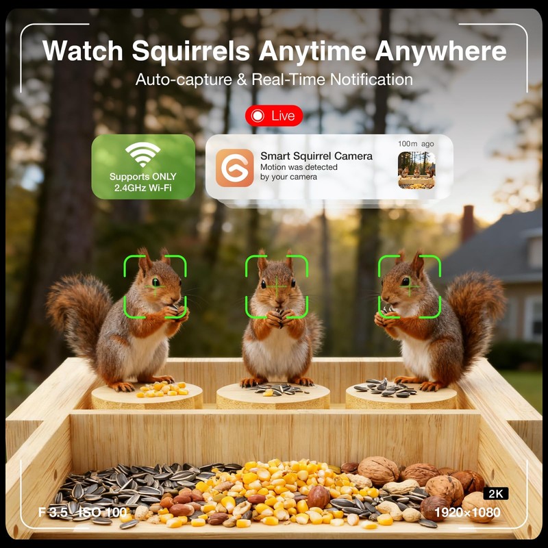 Wooden Squirrel Feeder with Camera, Solar-Powered, 2K HD+ Video