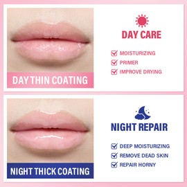 5 PCS Honey Pot Bee Lip Balm (honey,Strawberry, Watermelon, Apple,Cherry), Moisturizes & Prevents Cracked Chapped Lips, Propolis & Vitamin E Infused Overnight Honey Lip Mask, Gift Lip Balm
