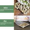QIUMING Quail Egg Boxes, 30 Grids, Quail Egg Boxes, Transparent