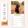 2026 Wall Calendar Labrador Retriever Planner Calendar, Hangable Monthly Wall