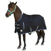 T TEKE Ultimate Turnout Sheet for Horses, 1050D Ballistic Nylon