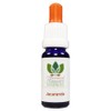 ☆Jacaranda☆ Australian Flower Essences Australian Bush Flowers 15ml