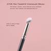 ENERGY Concealer Brush,Angled Under Eye Makeup Small Foundation Precision Face