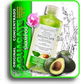 Florigan Shampoo Aceite Aguacate Placenta Proteinas Florigan Orig 1lt