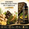 Hair Dye Shampoo 4 en 1 Fórmula Suave Ingredientes Naturales(Marrón