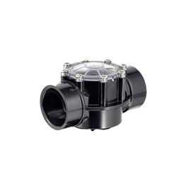 Hayward PSCV2S2 CPVC Check Valve, Black