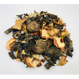 Pacifica Wild Mushroom Gourmet Forage Blend by Holistic Bin - Finest Culinary Grade Mushrooms, US Wild Harvest