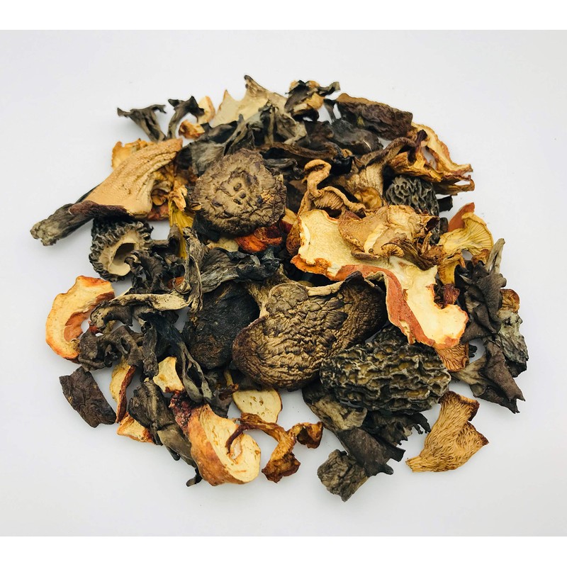 Pacifica Wild Mushroom Gourmet Forage Blend by Holistic Bin -