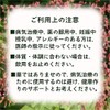 Horsetail Tea Horsetail Tea 100% Herbal Tea Tea Tea Health