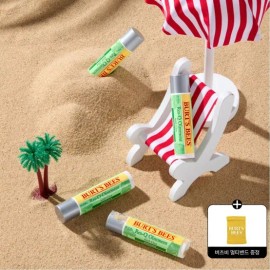 버츠비 [멀티밴드 증정][버츠비] 레스큐 오인트먼트 위드 시카 스틱 4.25g 2개 [Burt's Bees] Rescue Ointment with Cica Stick 4.25g 2 Pieces [Multi-Band Gift]