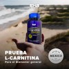 L-Carnitina con Vitamina C Energía, Rendimiento y Definición 5H8 NUTRITION