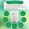 Qi to Life Syner'Qi Mushroom Supplement Powder - Six Functional