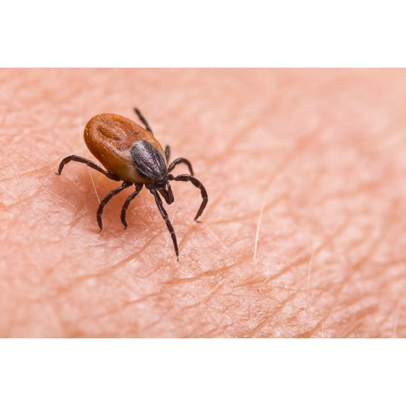 Doctan for Children Lotion, 100 ml