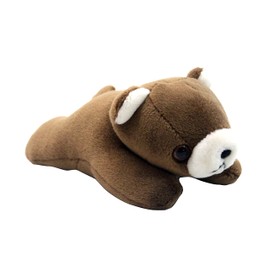 takeoff pokepuni brown bear