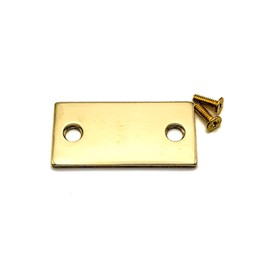 Door Edge Filler Plate | 1-1/8" x 2-1/4" | Dummy Blank Strike Plate | Polished Brass | TUFF STRIKE