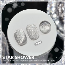 GAOY Platinum Cat Eye Gel Nail Polish, 16ml Silver Glitter Holographic Nail Polish with Magnet, Reflective Translucent UV Gel, 2230 Star Shower