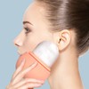 JasCherry Ice Roller for Face, Face Ice Roller for Face