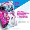 Kreatina by Kromasol (Creatina micronizada)