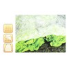 com-four® Cold frame fleece, garden fleece and poly tunnel as