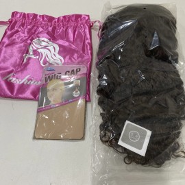 Fashion Hair Chocolate Brown HD Lace Front Wig Women (20 inch, Brown)