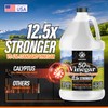 Calyptus 50% Pure Concentrated Vinegar | Maximum-Performance (12.5X) Power |