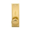 Mortise Lock Escutcheon Plate 2-1/4" X 7" With Brass Door Knob & Turner