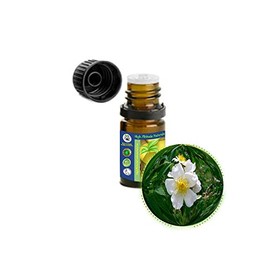 5ml (1/6oz) Wild Musk Rose Essential Oil (Rosa Moschata) -100% Pure, Undiluted, Uncut - "Elixir of Youth" for Skin Care, Aromatherapy, Massage, Perfumery - Add to Favorite Moisturizer, Cream, Lotion