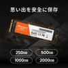 MMOMENT MG43 250GB M.2 2280 PCIe Gen4 NVMe 1.4 Internal