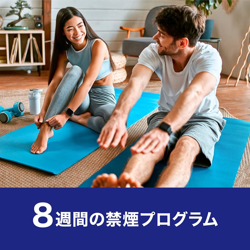 【第1類医薬品】ニコチネルパッチ20 14枚