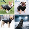 Votoko dog coat xl