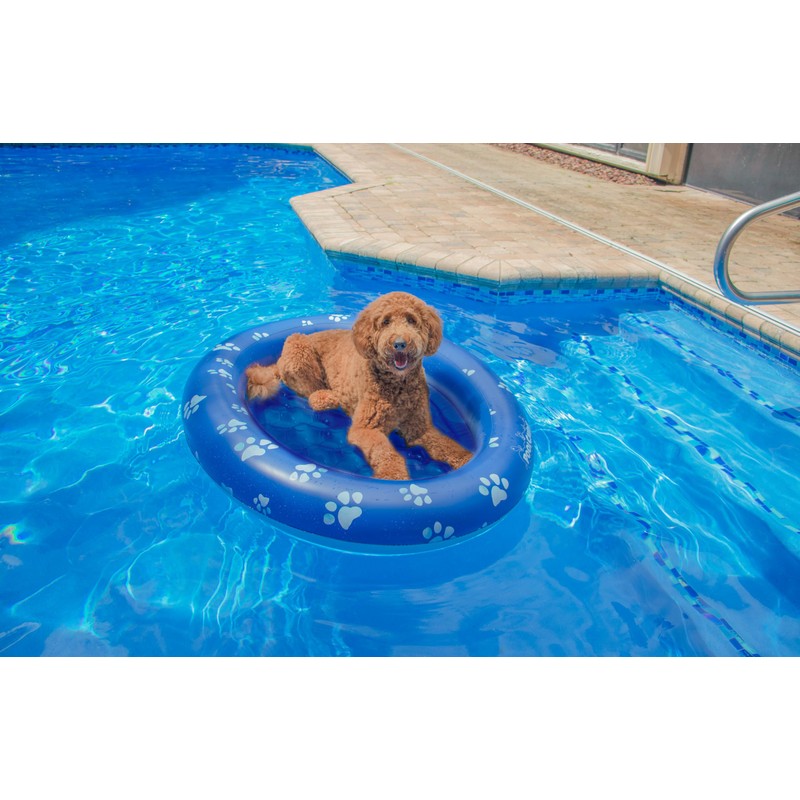 PoolCandy Inflatable Pet Float - Easy Set Up Doggy Pool