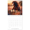 The majestic beauty of Gypsy Vanner (Wall Calendar 2025 12